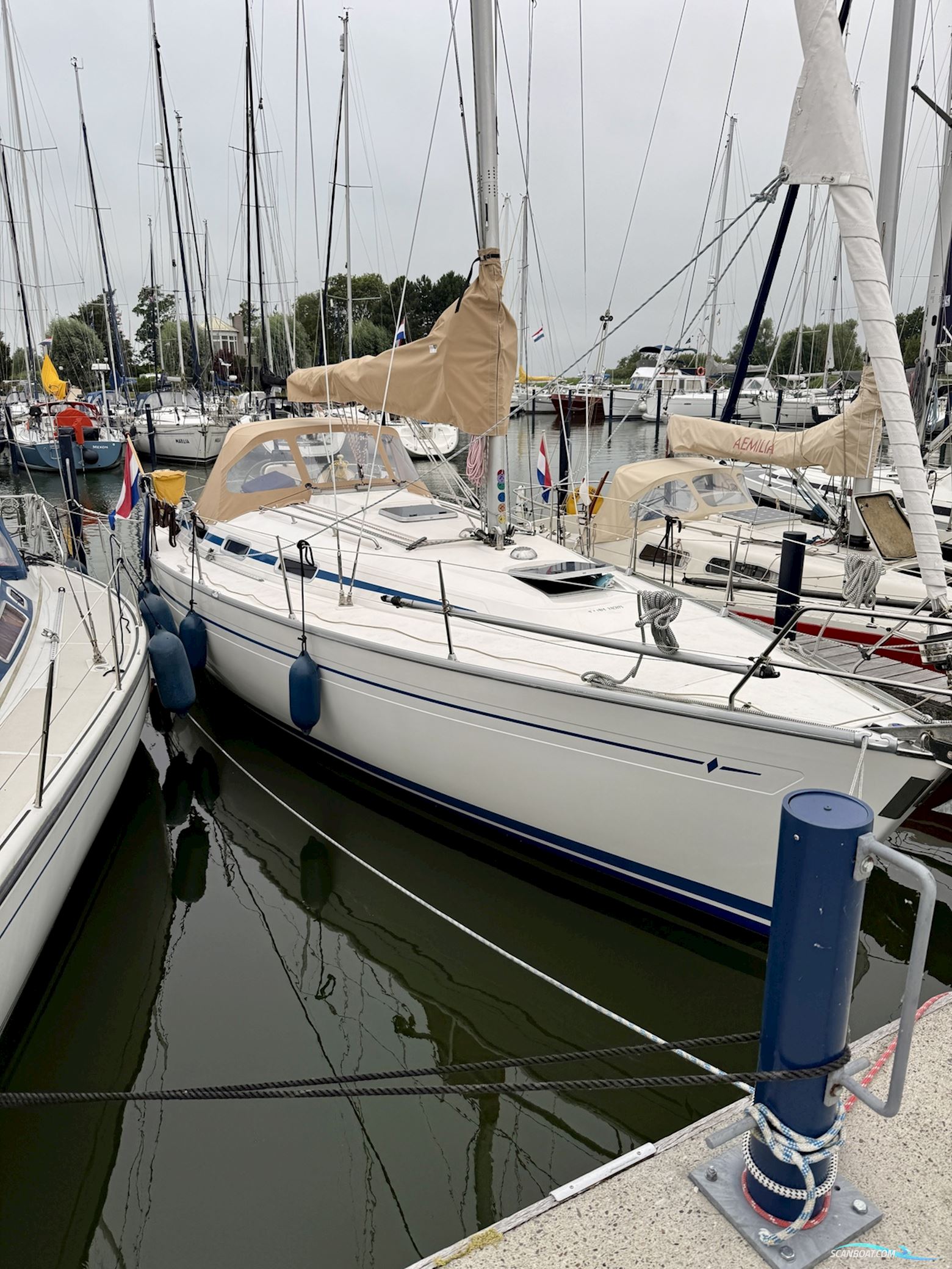 Bavaria 36-3