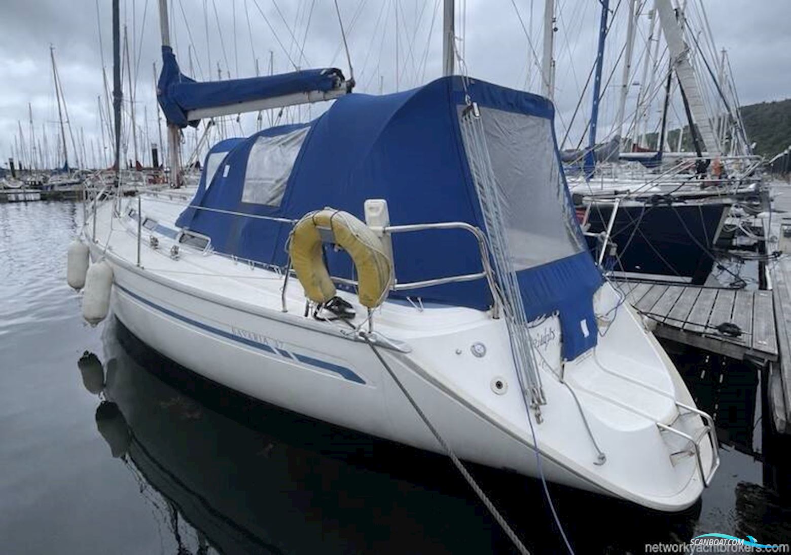 Bavaria 37