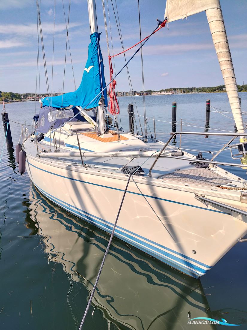 Bavaria 38 Caribic Segelboot 1992, mit Volvo Penta 2003 motor, Dänemark