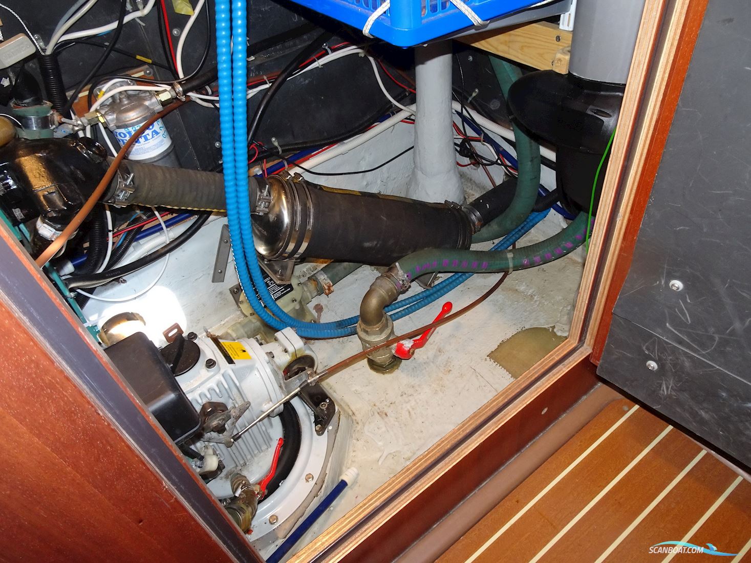 Bavaria 38 Ocean
