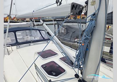 Bavaria 40 Cruiser Segelboot 2008, mit Volvo Penta motor, Dänemark