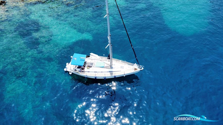 Bavaria 41 Exclusive