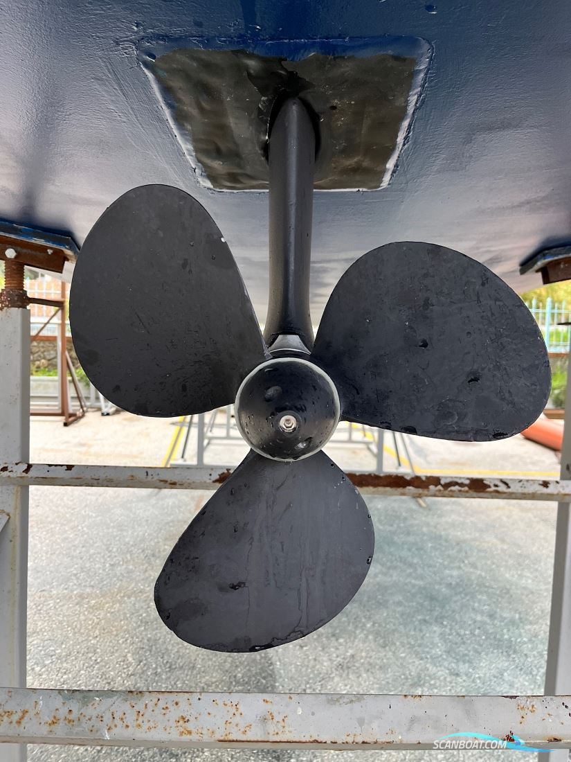 Bavaria 41 Exclusive