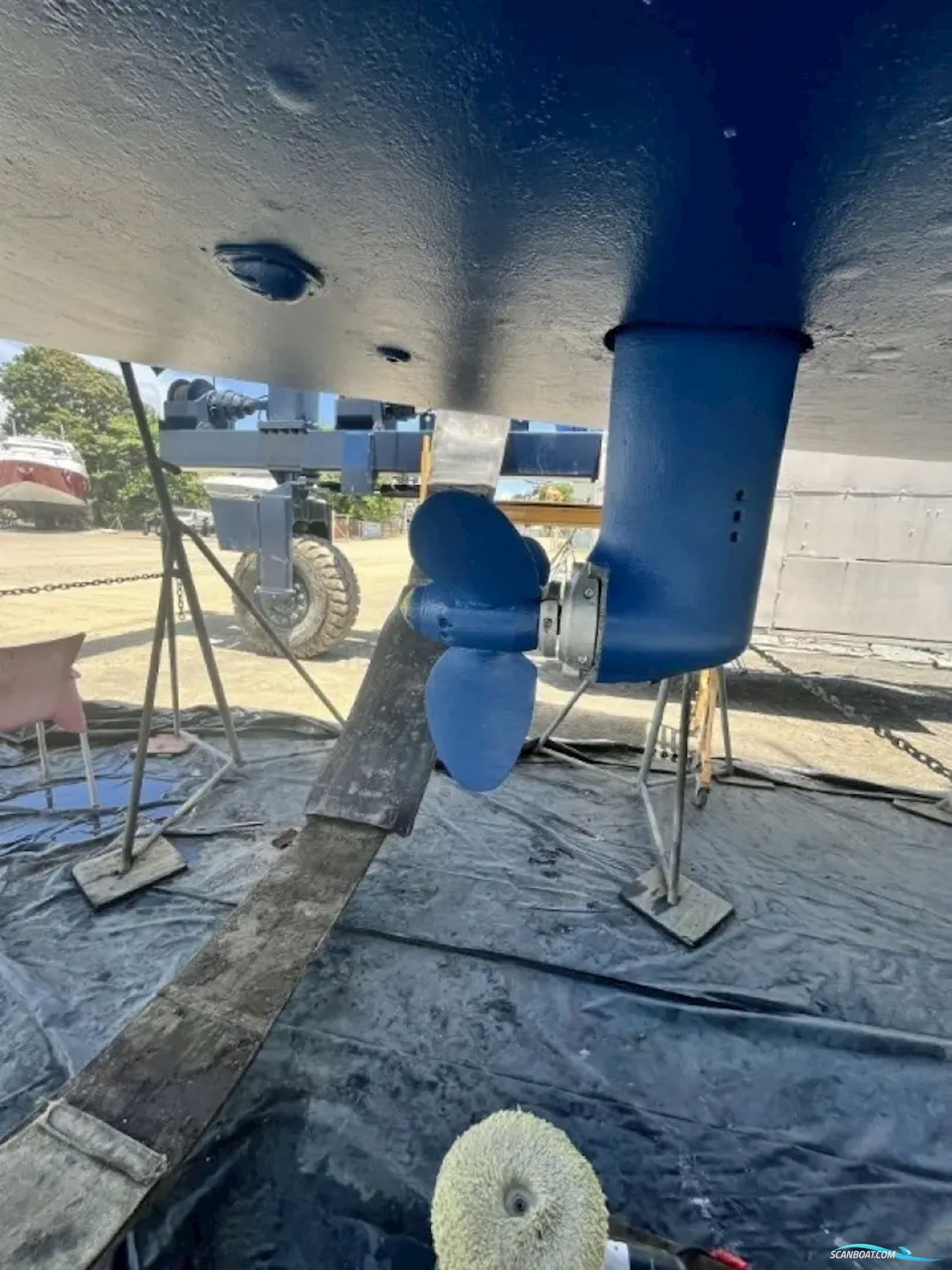 Bavaria 44
