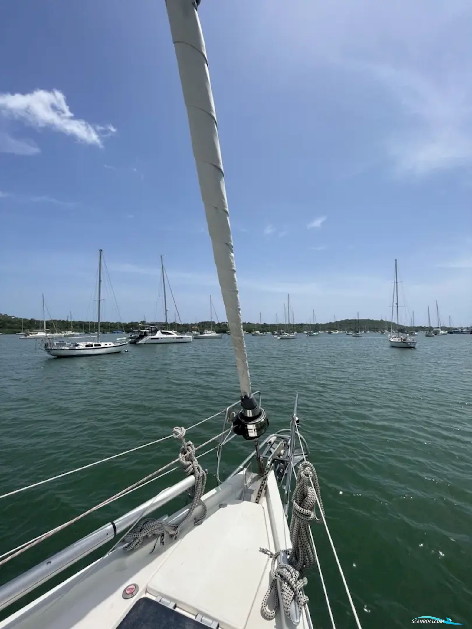 Bavaria 50
