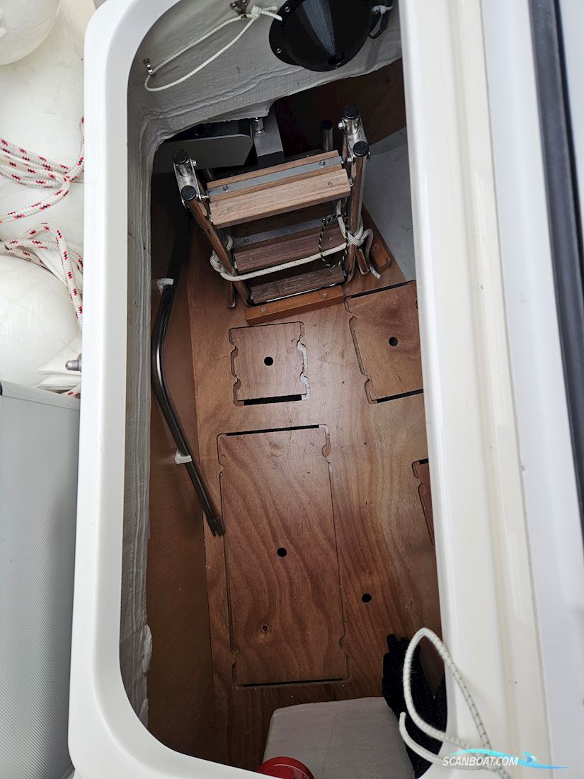 Bavaria Cruiser 34 Style 40 Years Edition