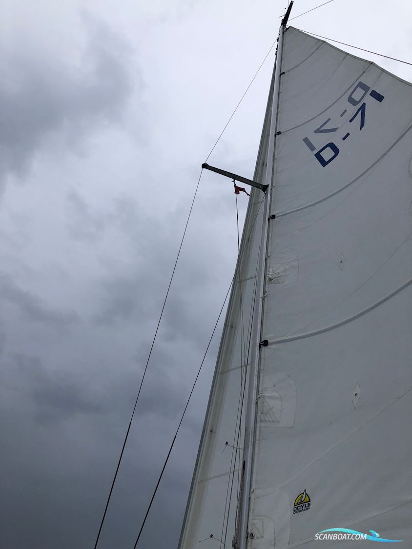 Beneteau First 29