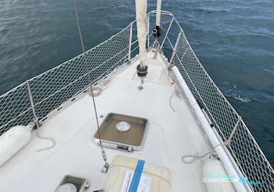 Beneteau First 38 Segelboot 1984, mit Sole 44 Mini motor, Martinique