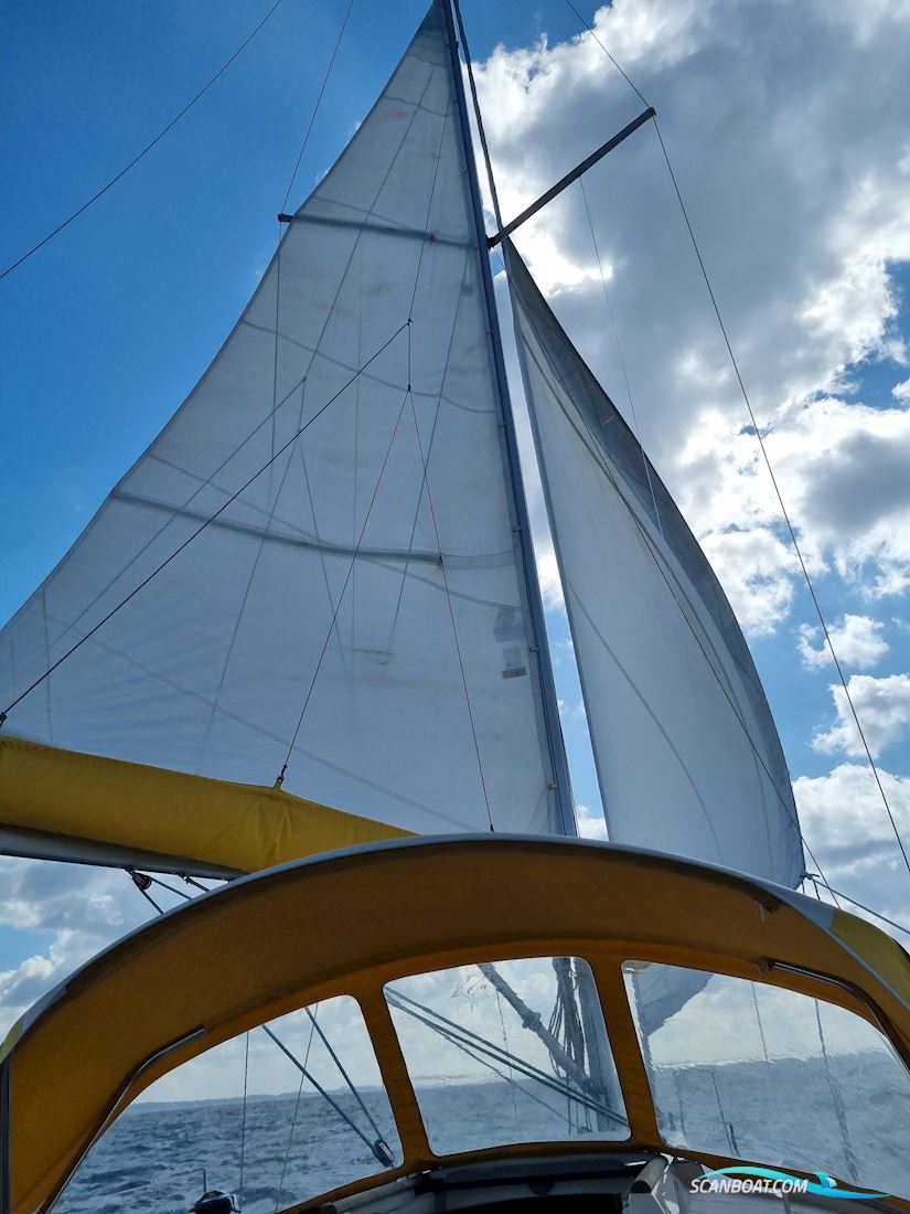Beneteau Oceanis Clipper 311