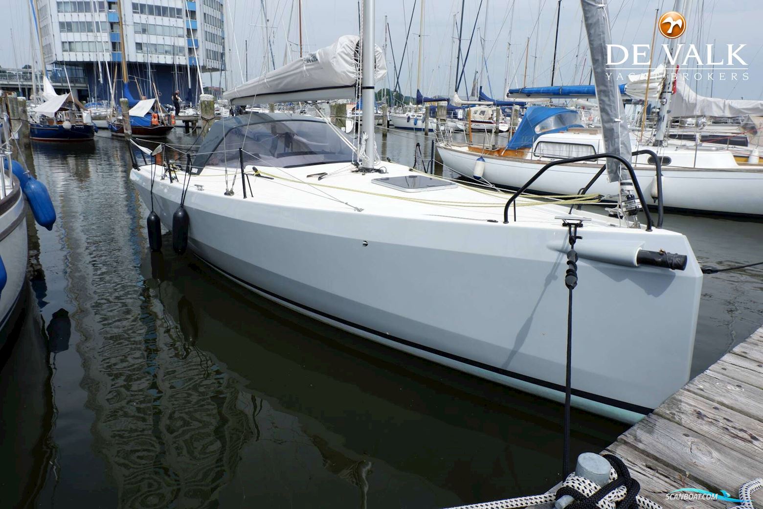 Bente 24