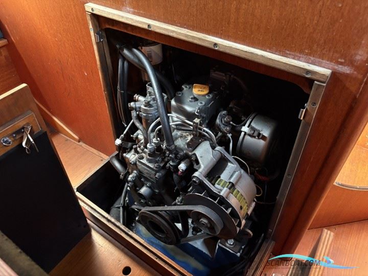 Bianca 107