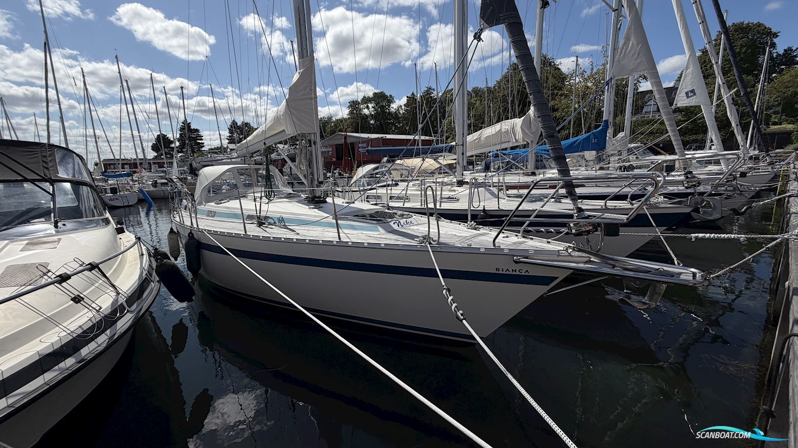 Bianca 107