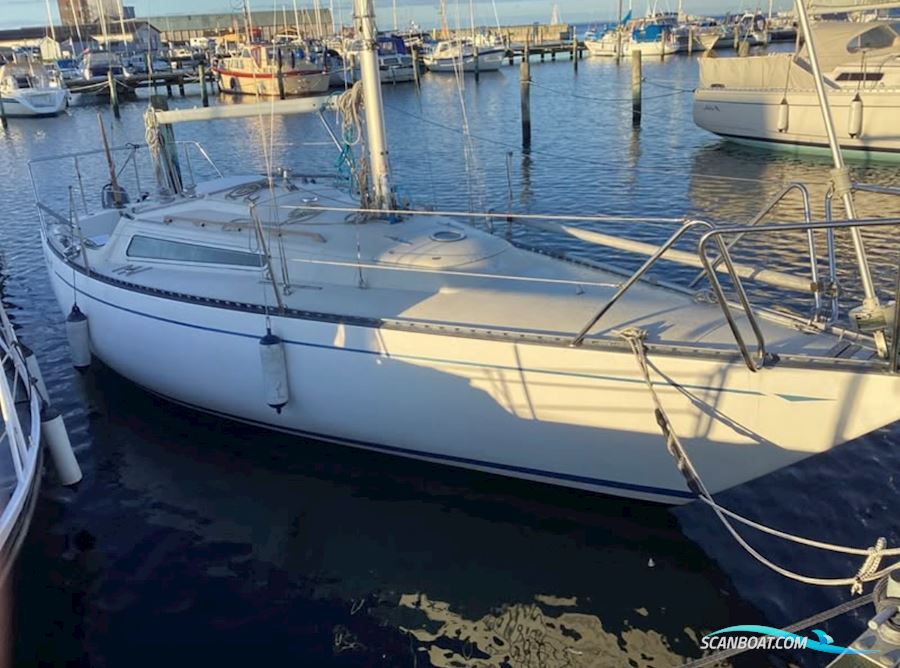 Bianca 28 Segelboot 1980, mit Yamaha motor, Dänemark