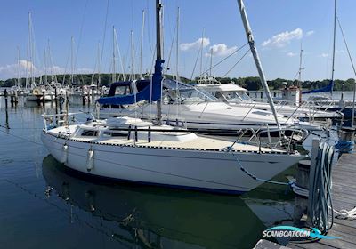 Bianca 28 Segelboot 1976, mit Yanmar 3ym20g motor, Dänemark