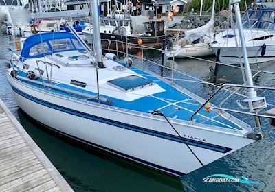 Bianca 320 Segelboot 1988, mit Yanmar 2GM20 motor, Dänemark