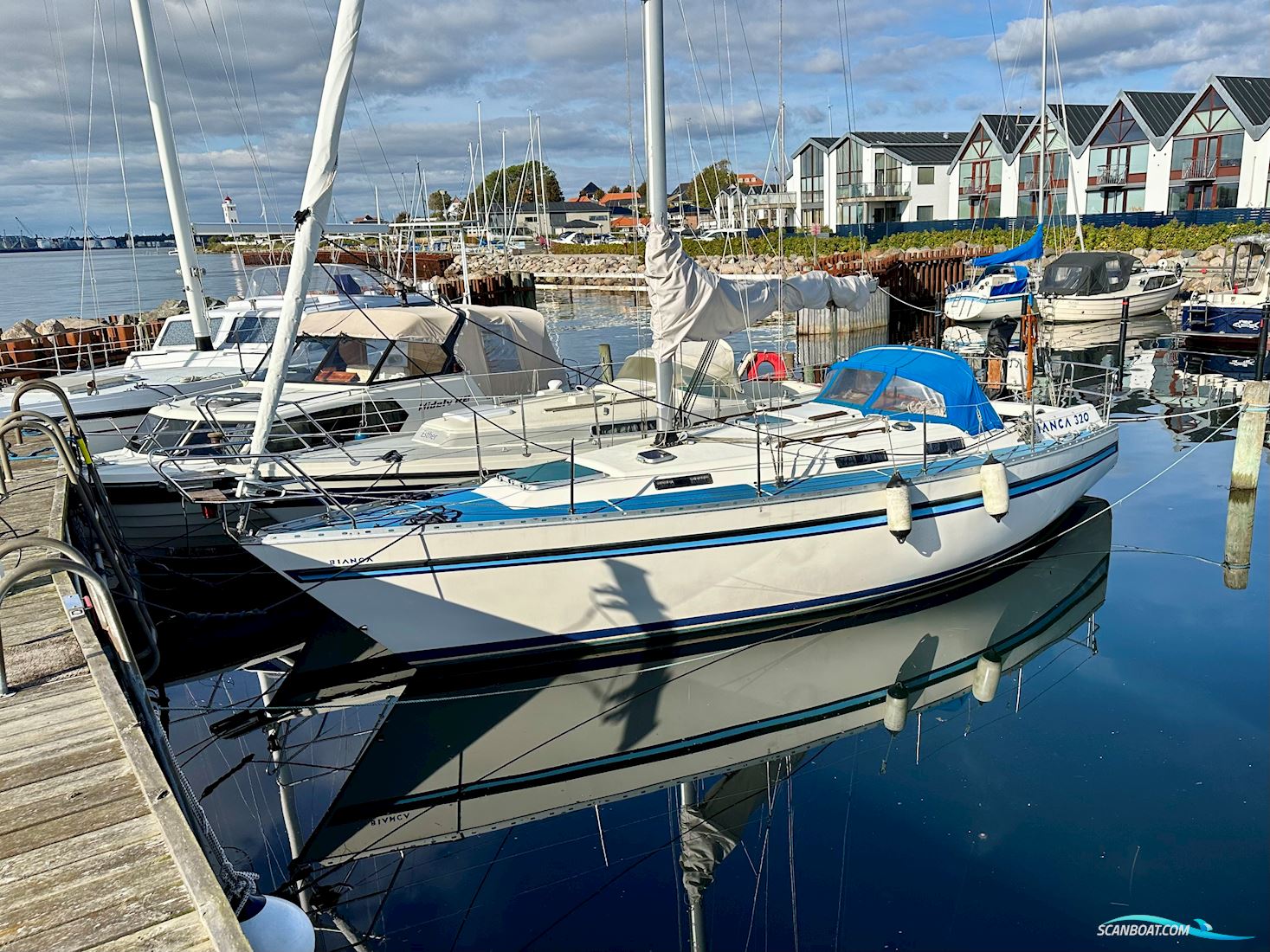 Bianca 320