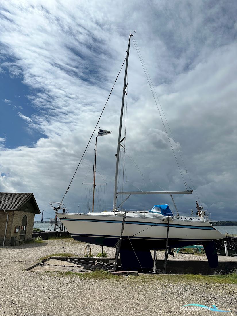 Bianca 320