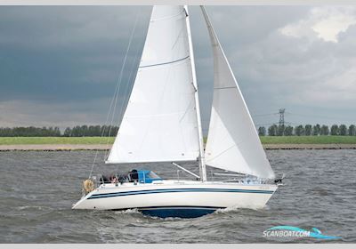 Bianca 320 Segelboot 1988, Niederlande