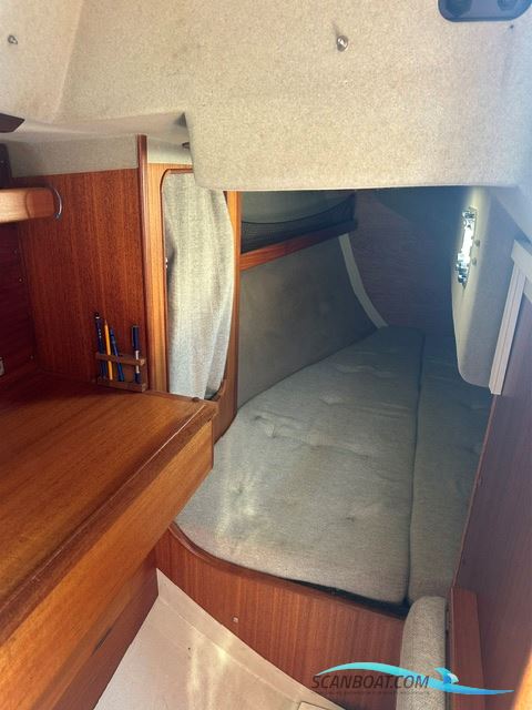Bianca 320