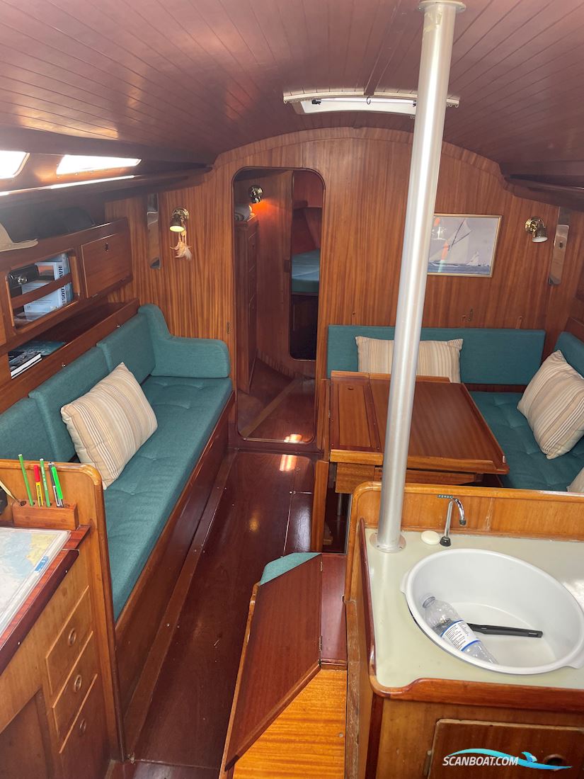 Bianca 36