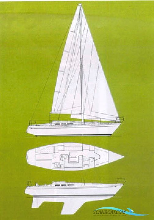 Bianca 36
