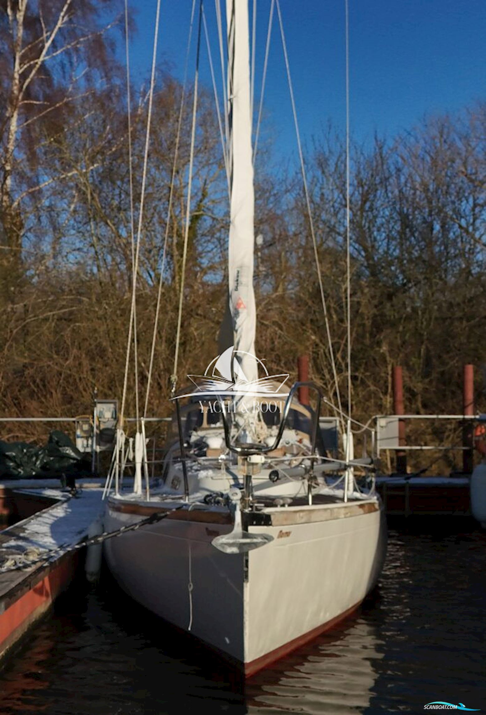 Bianca Commander 31