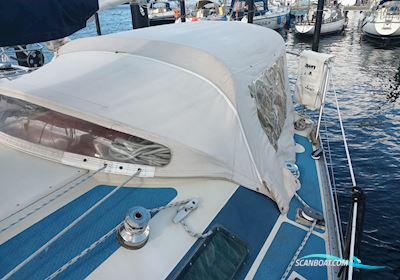 Bianca Riviera 32  Segelboot 1983, mit Buhk motor, Deutschland