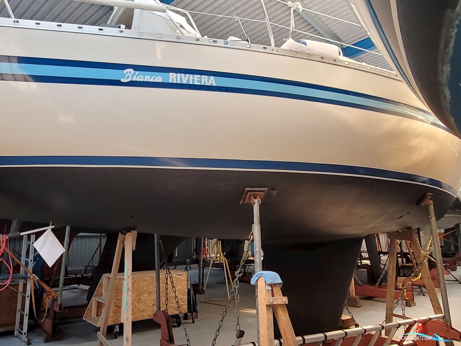 Bianca Riviera 32