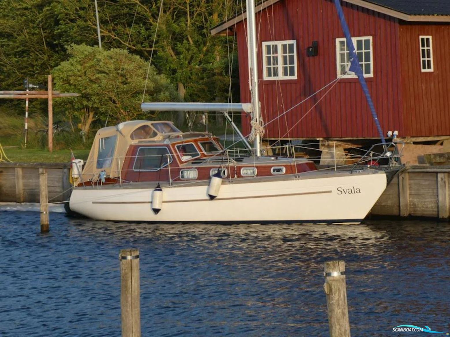 Biga 29 MS