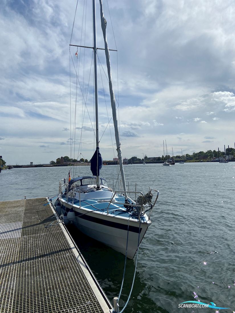 Boheme 10 Meter 