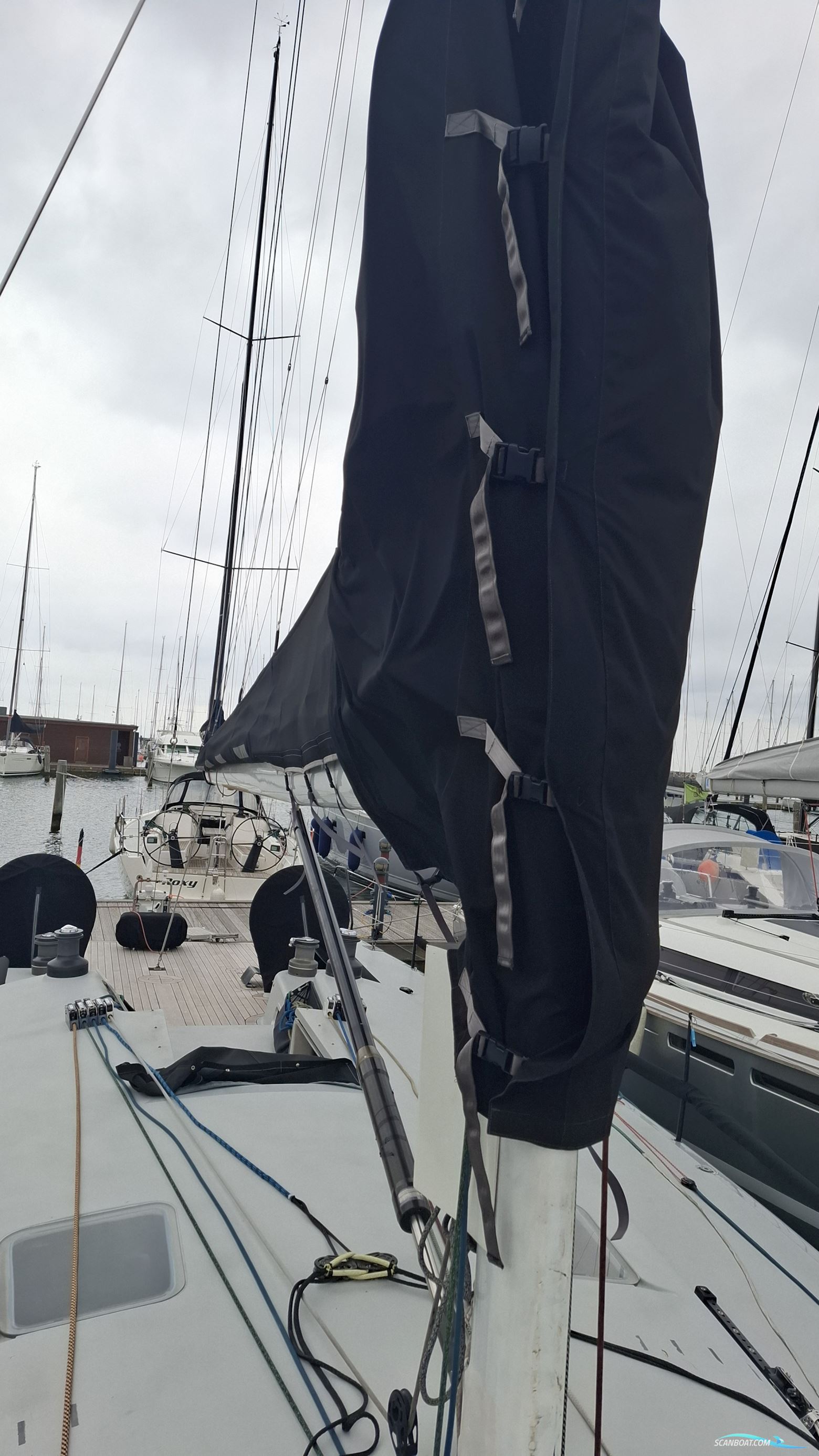 Brenta 55