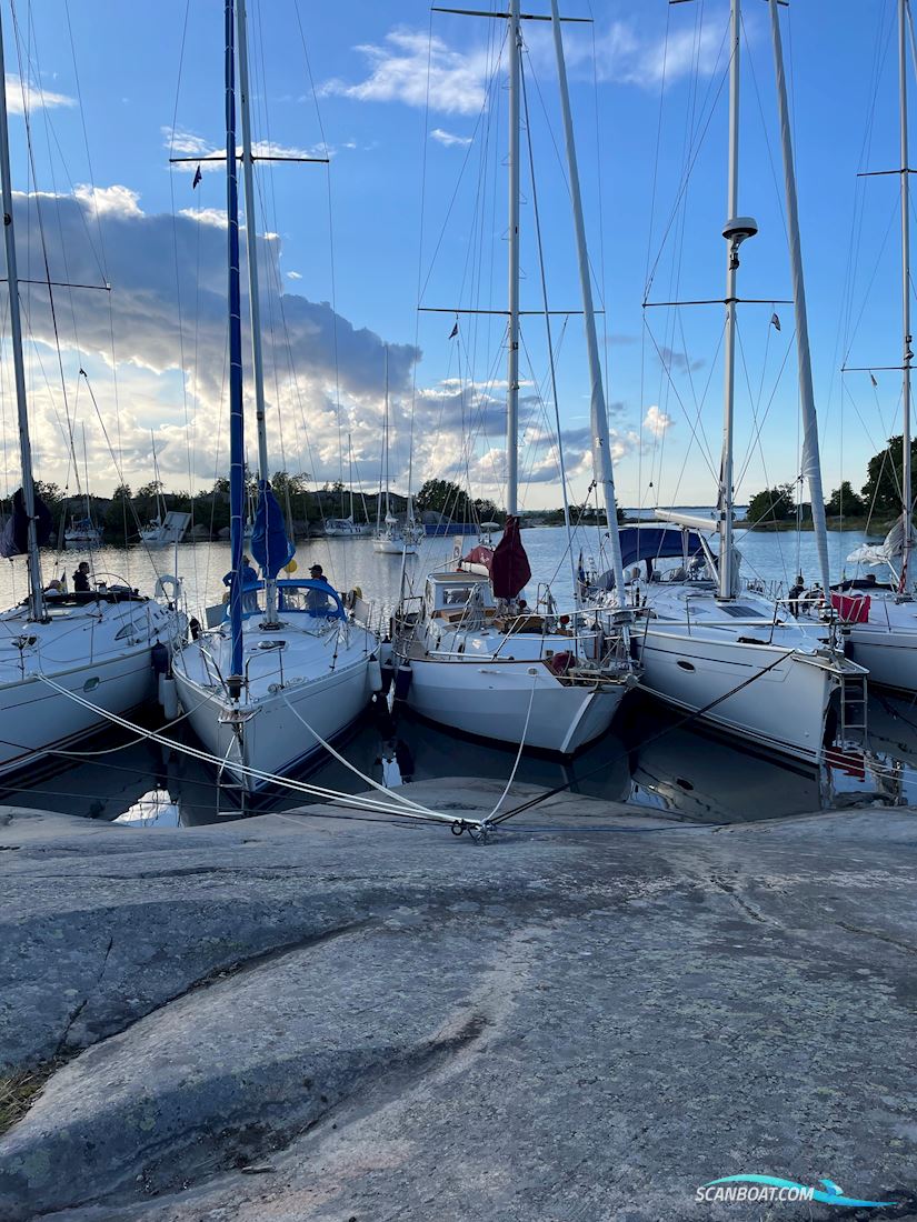 Bruce Roberts Spray 33