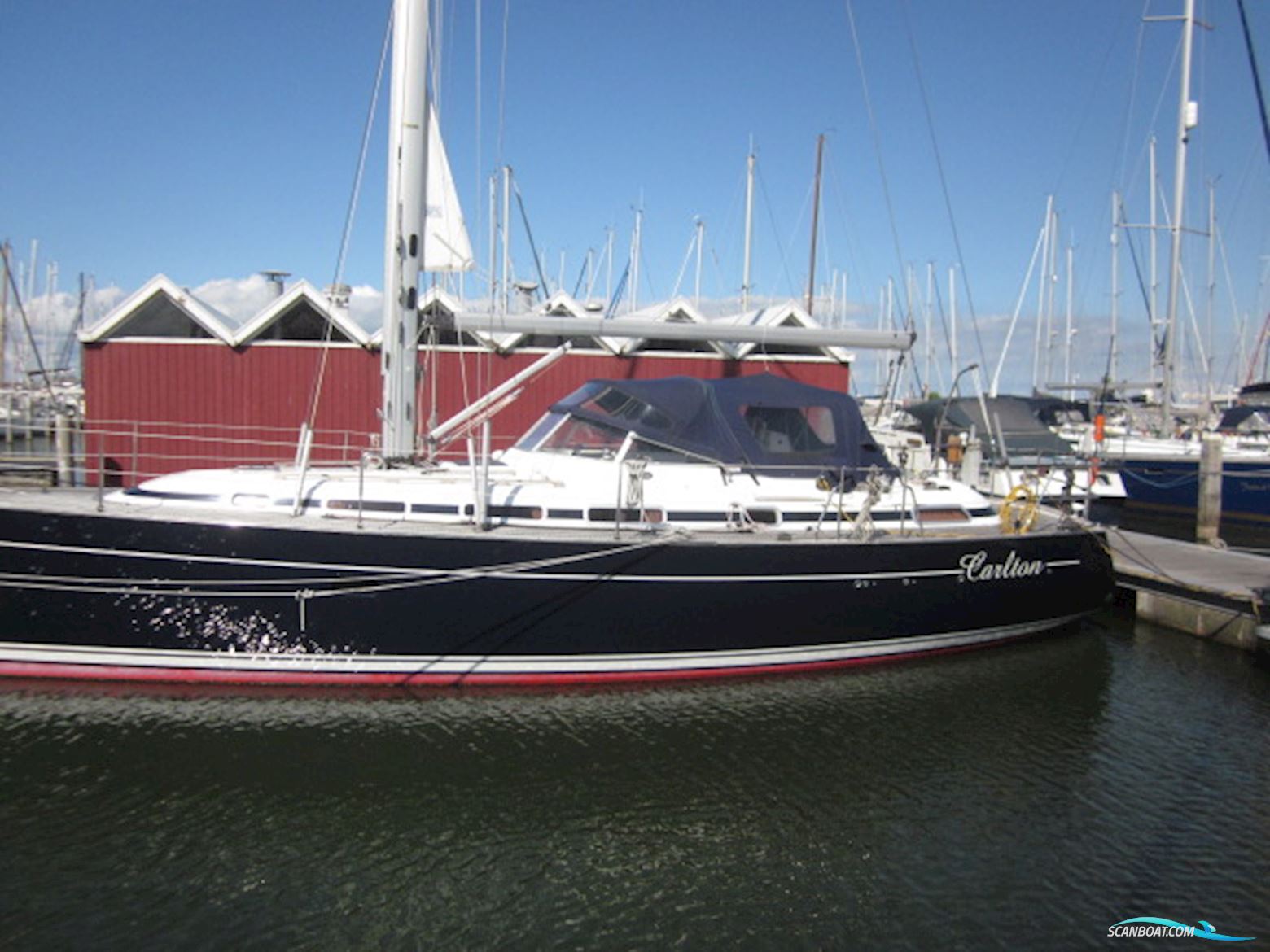 C-Yacht C-12.50
