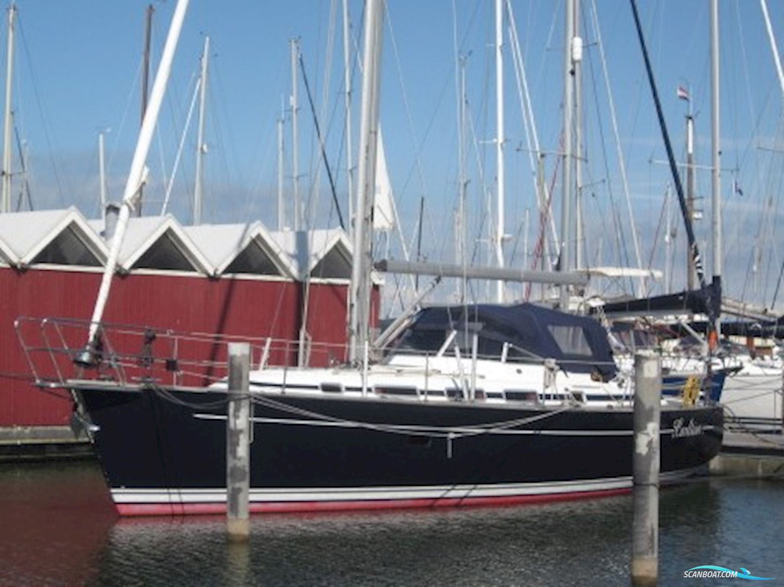 C-Yacht C-12.50