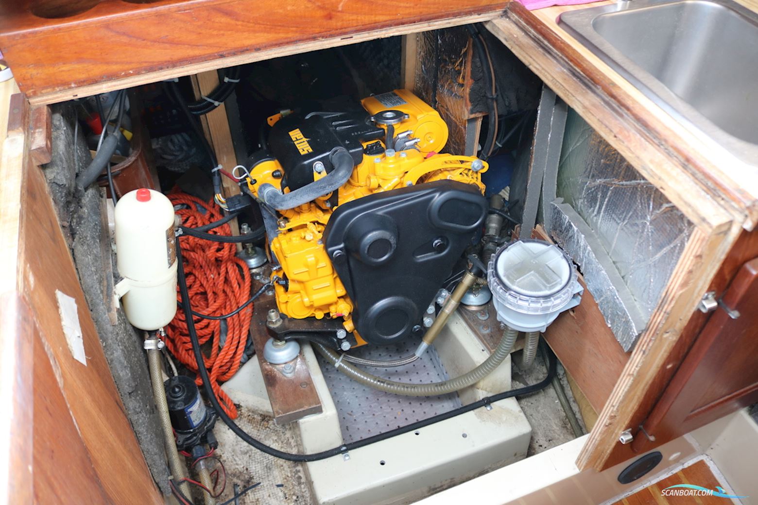 Cal 31