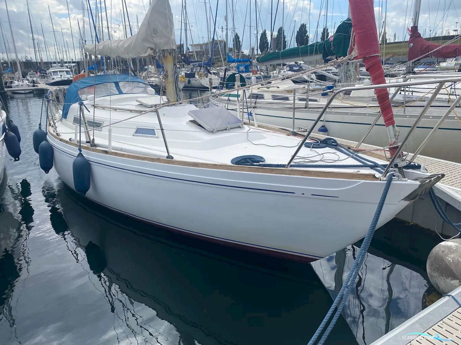 Camper & Nicholsons 31