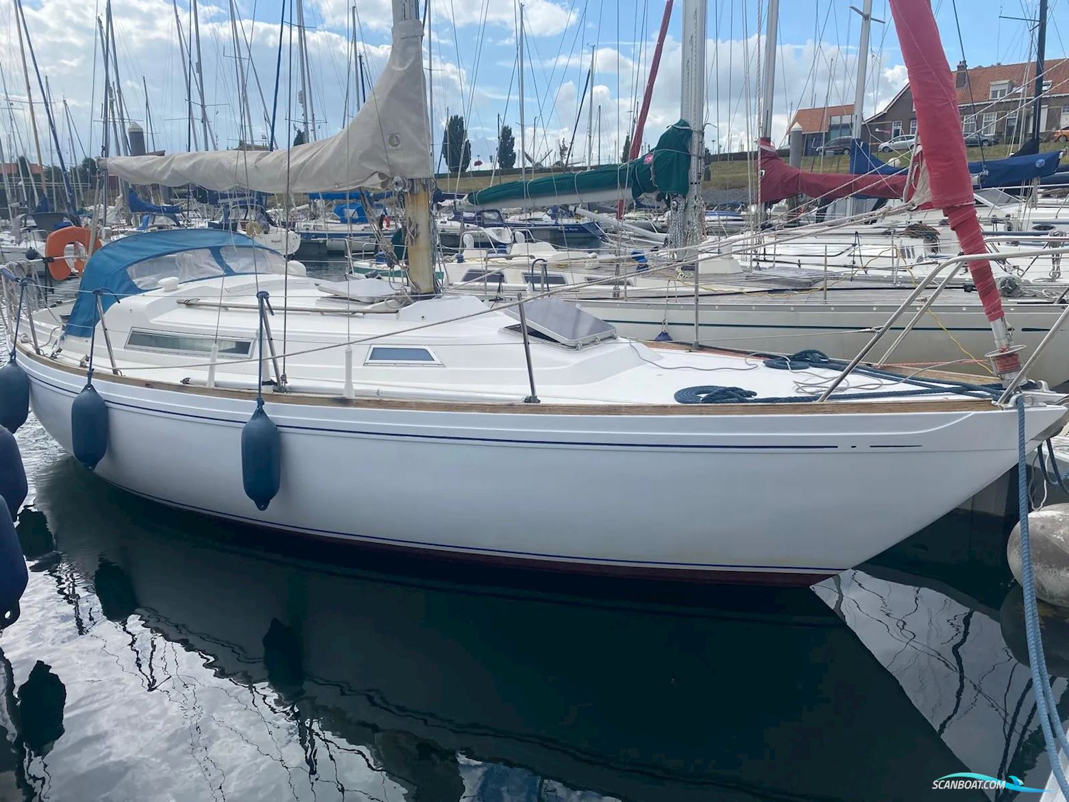 Camper & Nicholsons 31