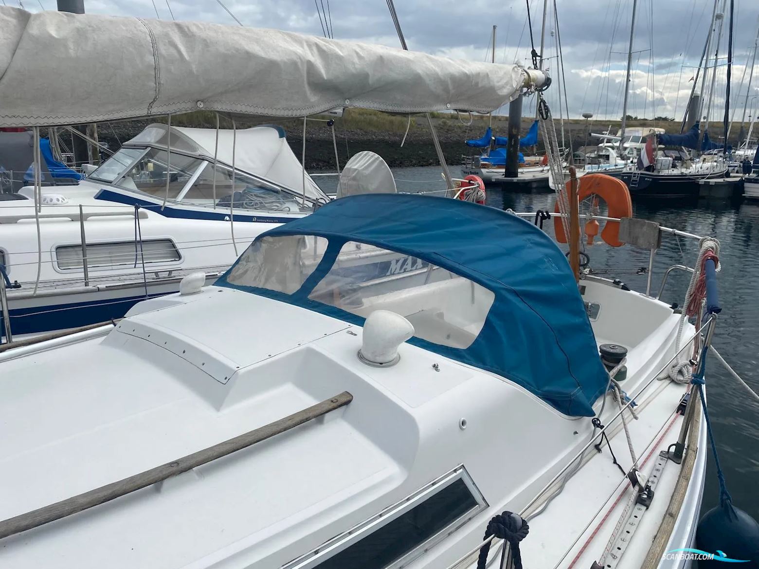 Camper & Nicholsons 31