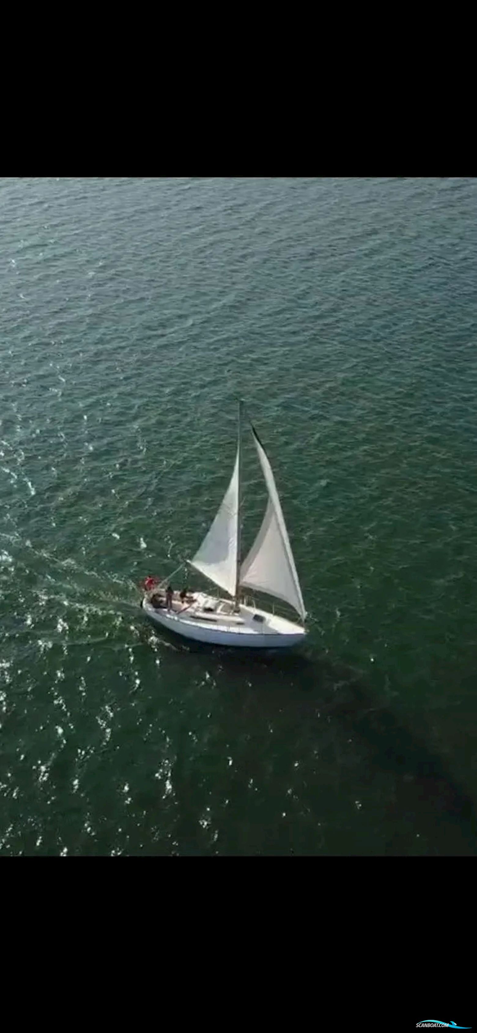 Camper & Nicholsons 31