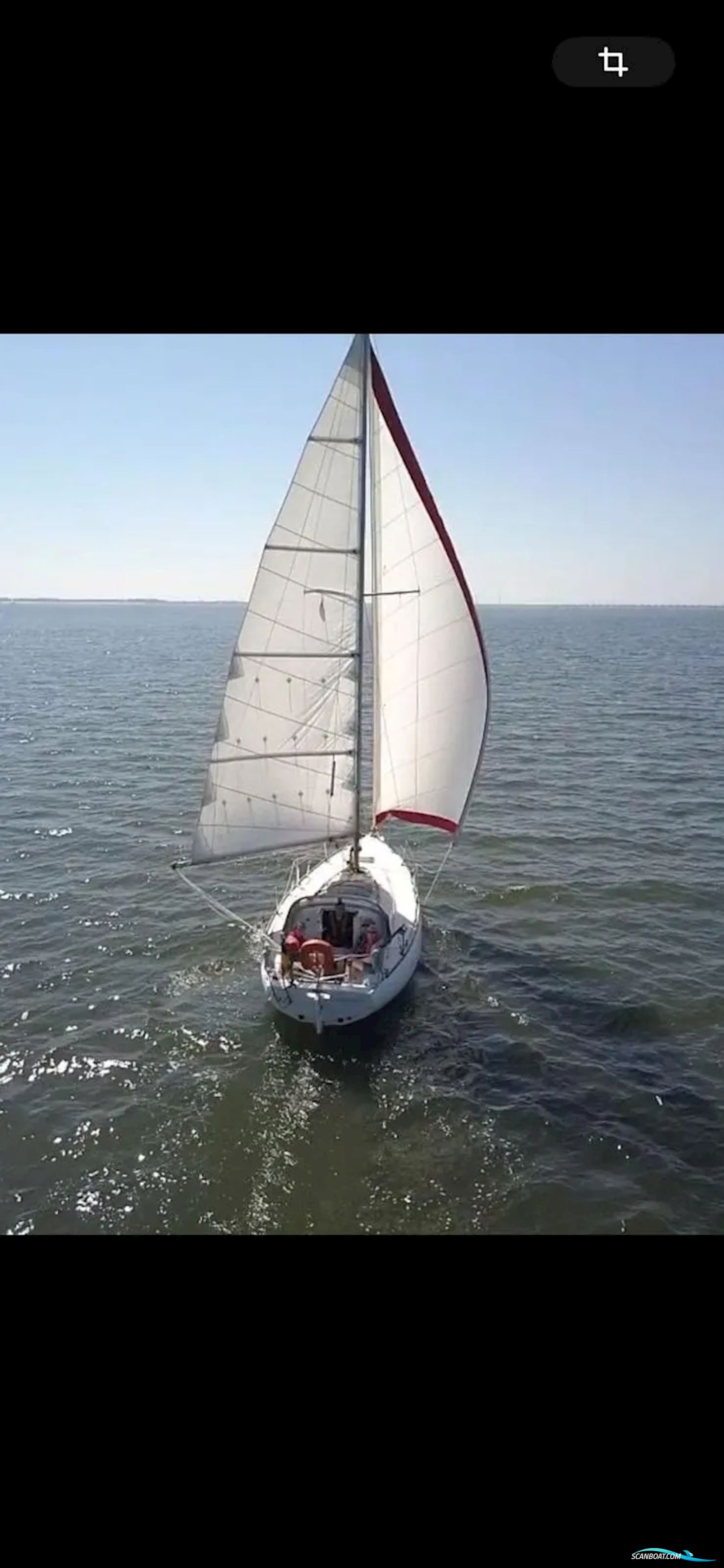 Camper & Nicholsons 31