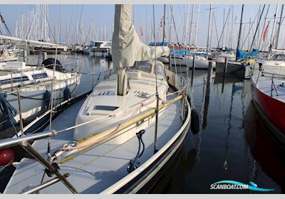 Carena 35 Segelboot 1974, mit Mercedes OM 636 motor, Niederlande