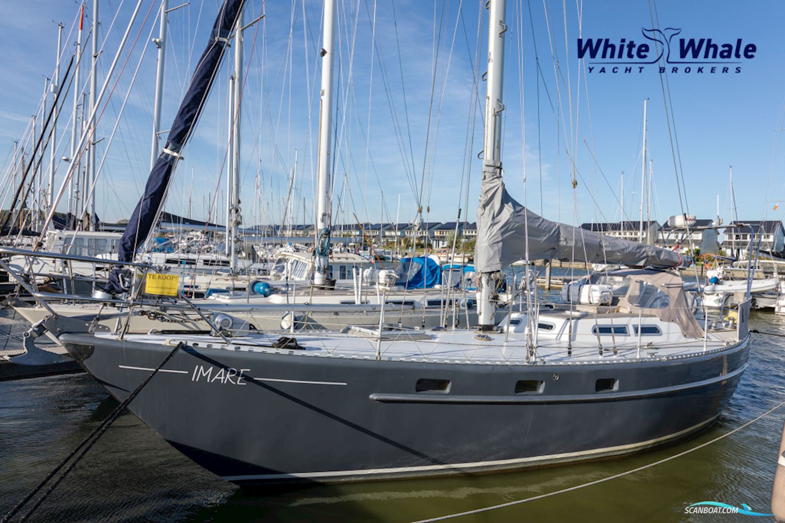 Carena 36
