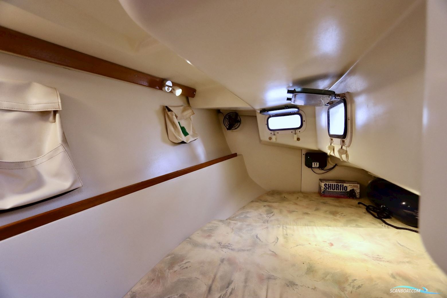 Catalina  270