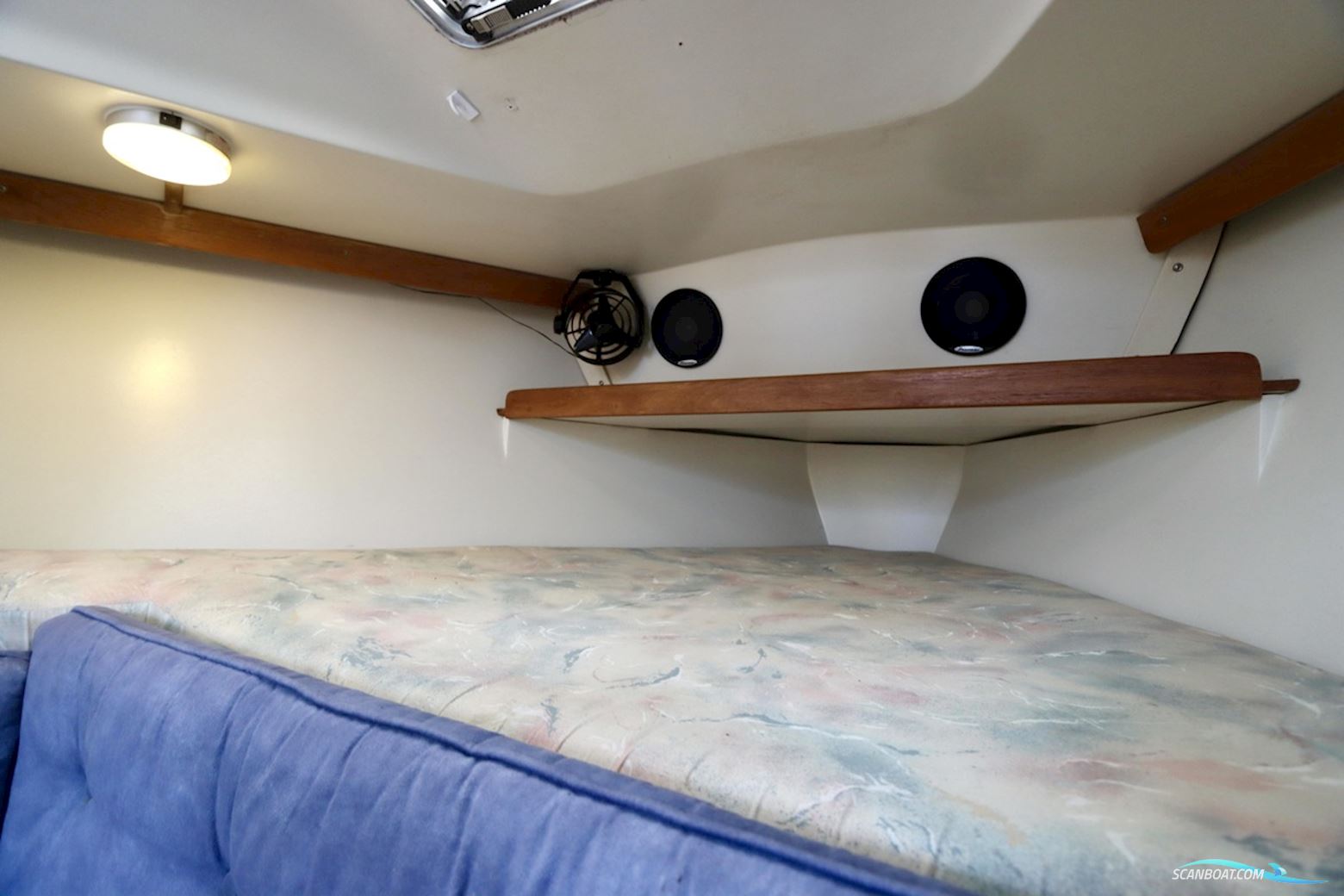 Catalina  270