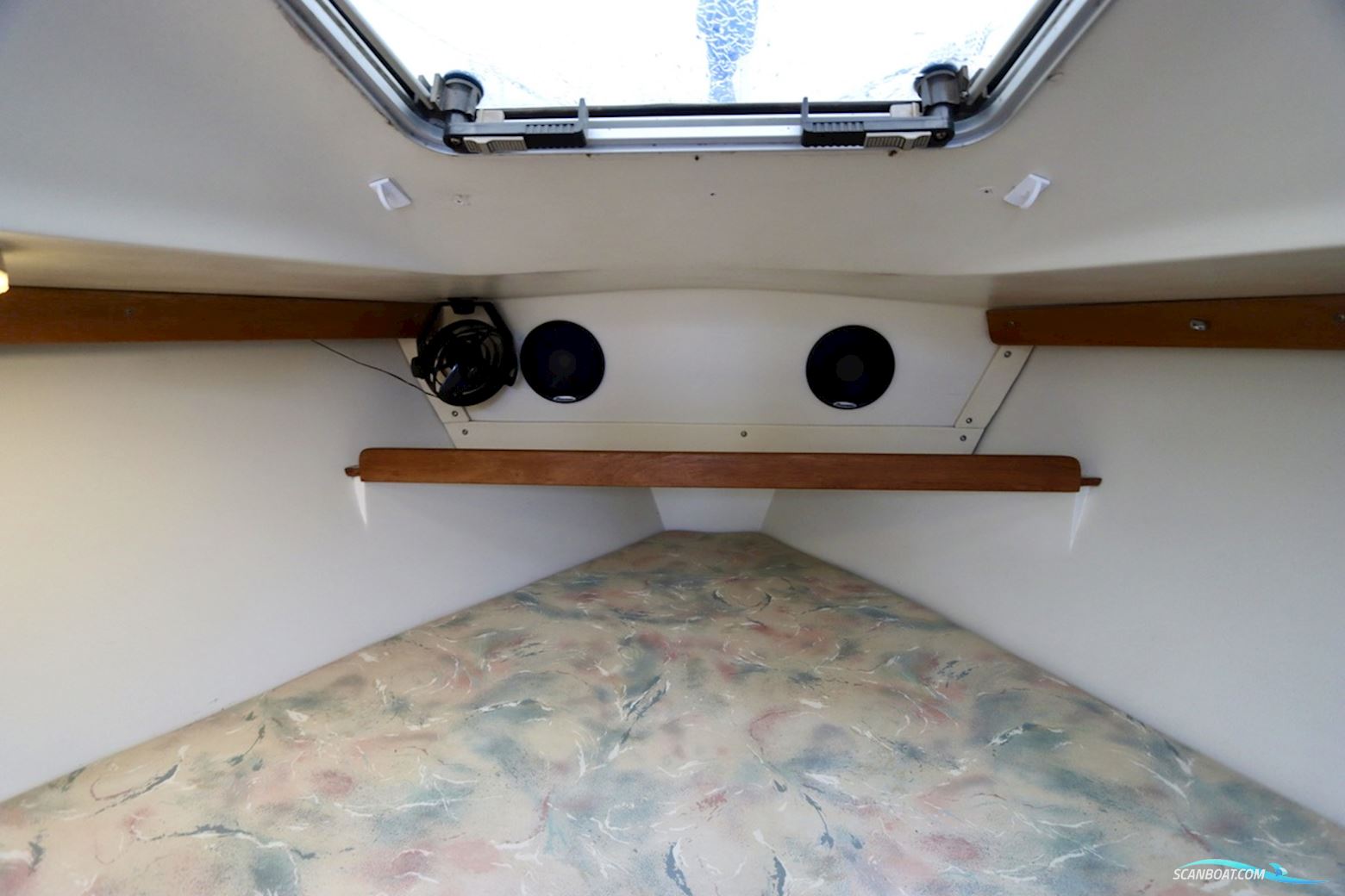 Catalina  270