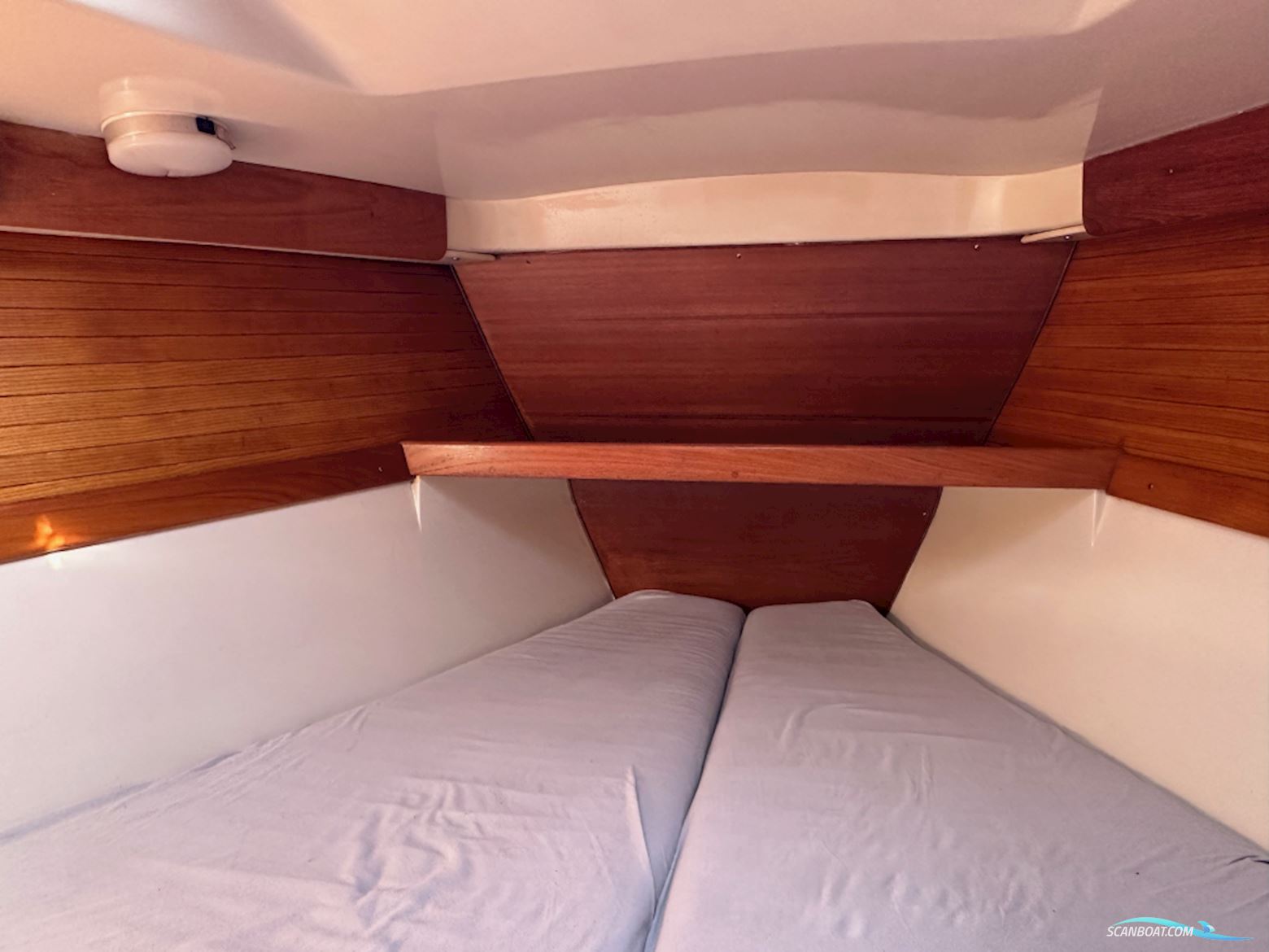 Catalina  320
