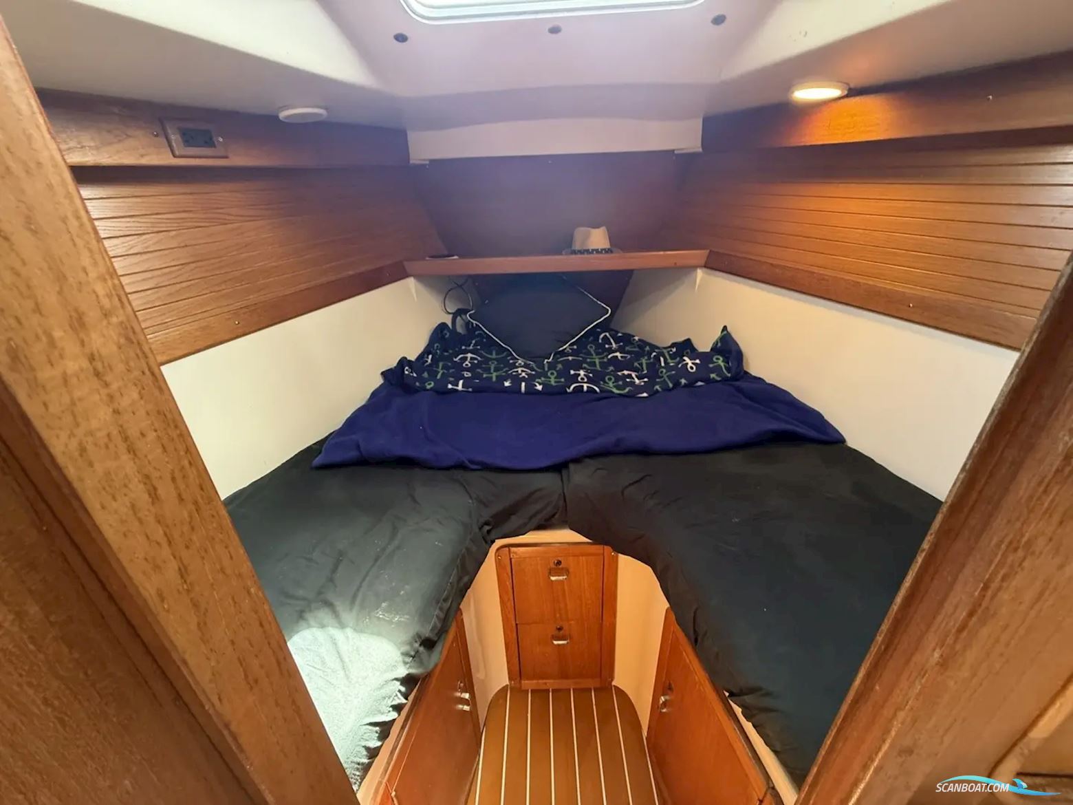 Catalina 320