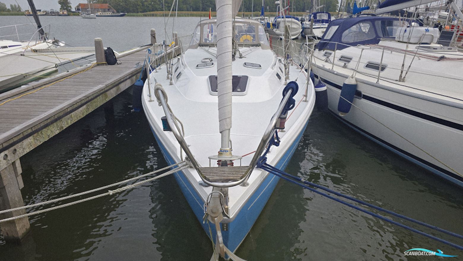 Catalina 36