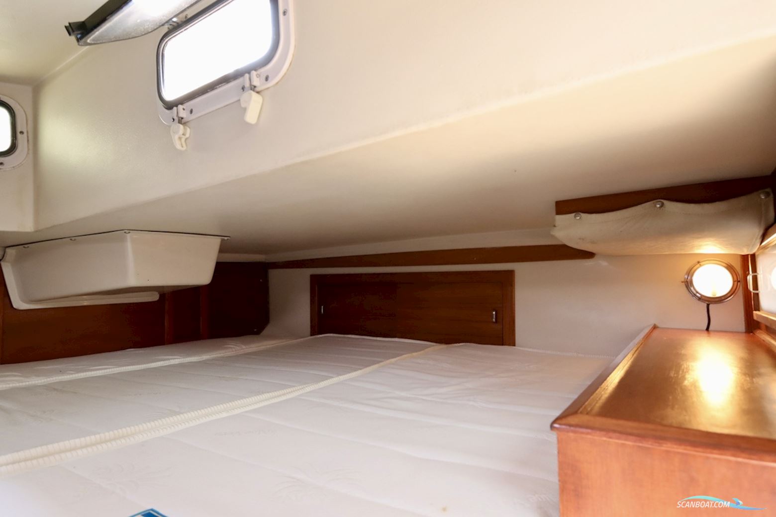 Catalina 36