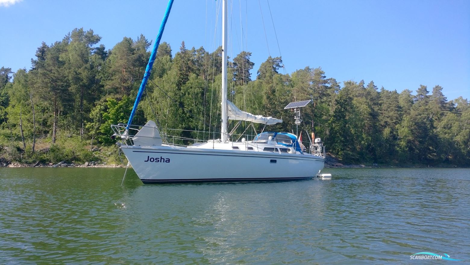 Catalina 36
